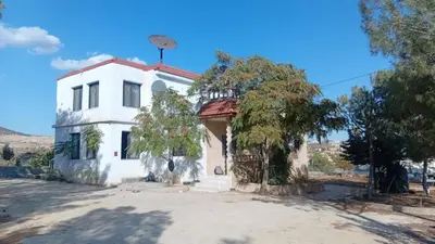 a white house with a tree in front of it at بوابة جرش الرومانيه الشماليه in Jerash