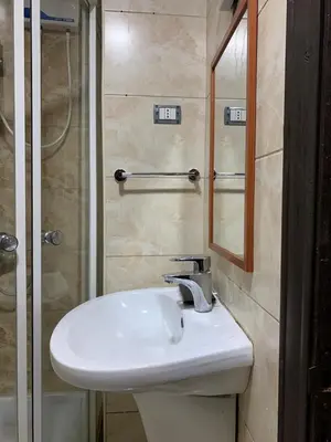 a bathroom with a sink and a shower and a mirror at Mesha Stele Private Hotel in Madaba