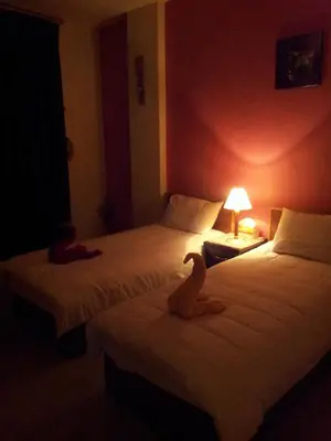 two beds in a hotel room with two birds on them at Jordan River Hotel in Amman