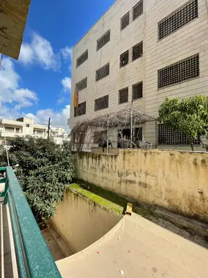 a skateboard ramp in front of a building at Decapolis in Irbid