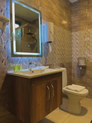 a bathroom with a sink and a mirror and a toilet at Fragrant Rose in Wadi Musa