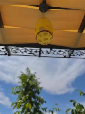 a ceiling fan with a banana on it at Fragrant Rose in Wadi Musa
