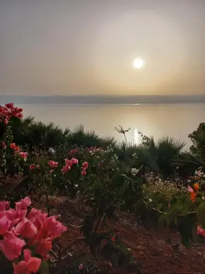 a bird flying over a body of water with pink flowers at Sunset apartment in Samarah Dead Sea resort in Sowayma