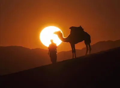 a man and a camel in the desert at sunset at Golden sunset luxury camp in Wadi Rum
