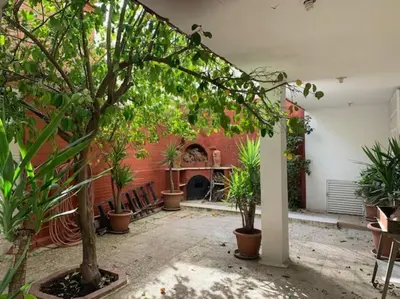 a courtyard with a bunch of potted plants in a building at Charming Apartment in Shmeisani in Amman