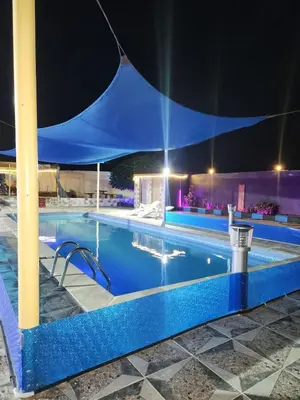 a swimming pool at night with a tent over it at shalyh tal birin in Şarrūt