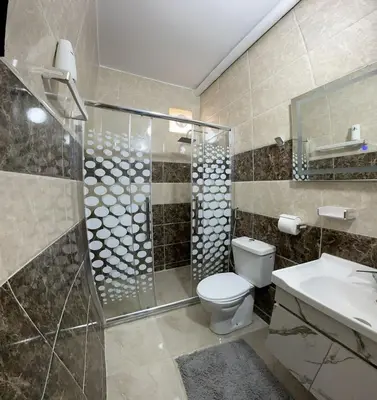 a bathroom with a shower and a toilet and a sink at Treasure of Petra in Wadi Musa
