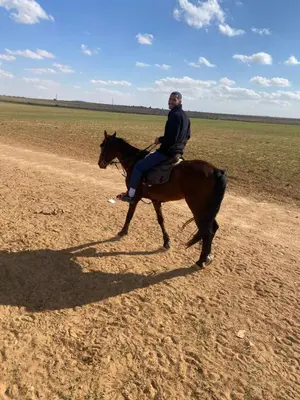a man riding a horse on a dirt road at بيت جرش - Jerash House in Jerash