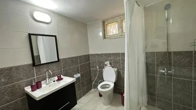 a bathroom with a toilet and a sink and a shower at The vintage apartment in Amman