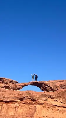 two cats standing on a tree branch in the desert at Wadirum winter in Wadi Rum