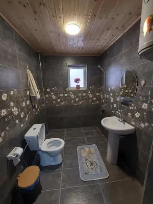 a bathroom with a toilet and a sink at Green Garden Rooftop in Madaba