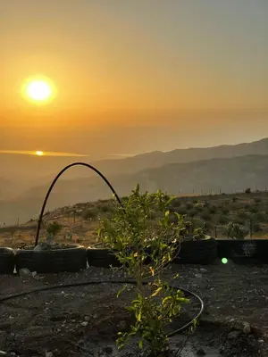 a sunset with a group of tires in a field at مزرعة الشفق in Ad Dimnah