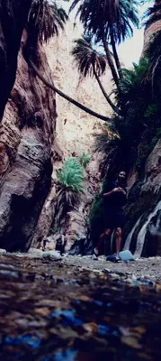 a group of people standing on a beach next to a waterfall at - Trekking from Dana to Petra in Dana