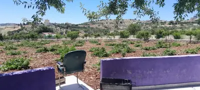 a garden with a purple fence and a field of plants at Jerash mountain studio chalet شاليه جبال جرش و عجلون in Jerash