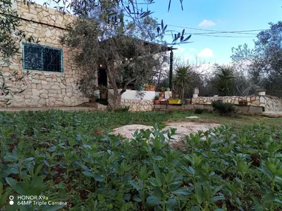 a stone house with a yard with plants at Seleucia DaR Umm Qais in Um Qeis