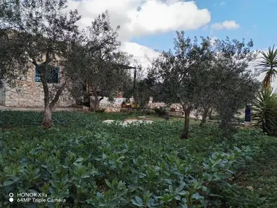 a garden with trees and plants in front of a building at Seleucia DaR Umm Qais in Um Qeis
