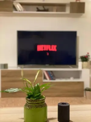 a potted plant sitting on top of a table at Homey Apt. with beautiful view in Amman