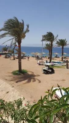 a beach with palm trees and people on the beach at Talabay Top cosy 3 bedroom apartment in Aqaba
