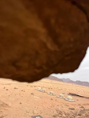 a group of camels parked in the desert at Madonna Rum camp bubbles & Jeep tours in Wadi Rum
