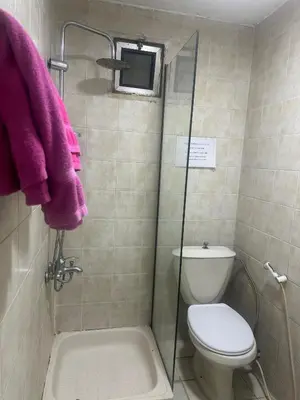 a bathroom with a toilet and a shower with purple towels at Conord Hotel in Amman
