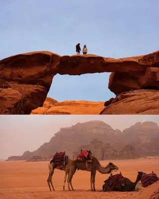 two pictures of a camel in the desert at Lucas Camp Wadi Rum in Wadi Rum