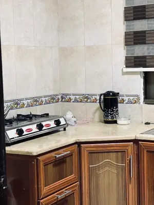 a kitchen with a stove and a counter top at Blue Bird House in Wadi Musa