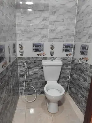 a bathroom with a toilet and a stone wall at Quite bubble tent in Wadi Rum