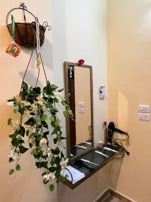 a bathroom with a mirror and a potted plant at Al-Bustan House& Umm Qais in Um Qeis