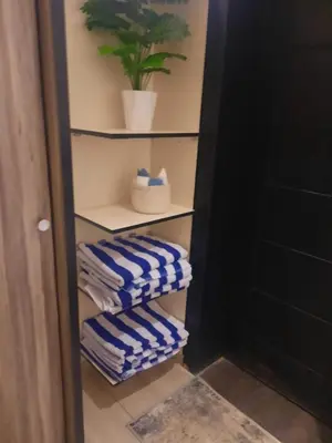 a closet with blue and white towels and a plant at Tala DeadSea Villa in Sowayma