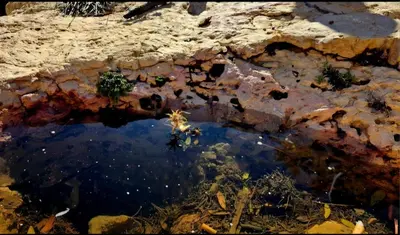 a pool of water in a dirt field at Dana local life Eco Lodge in Dana