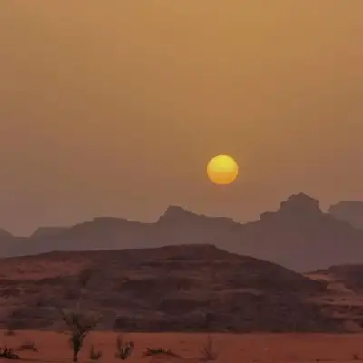 Glow of Wadi Rum Camp