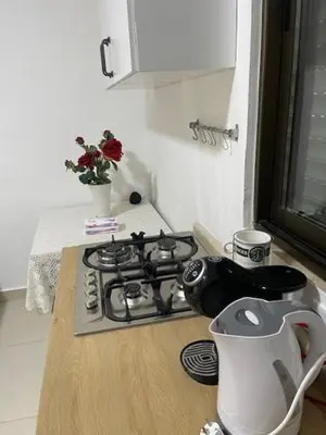a kitchen with a stove and a counter top at Deadsea Elite second floor shared swimming pool in Sowayma