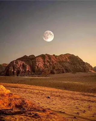 a moon over a mountain with a horse in a field at Faiesal Luxury camp & Tour in Wadi Rum