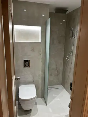 a bathroom with a toilet and a shower at JAZEERAT QUBTAN in Aqaba