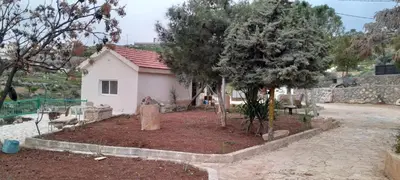 a small white house with a tree in front of it at Jerash Roman Gate studio chalet ستوديو شاليه بوابة جرش الرومانيه الشماليه in Jerash