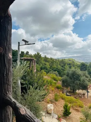 an airplane is flying over a hill with trees at منتزه واكواخ كركوش in Ajloun