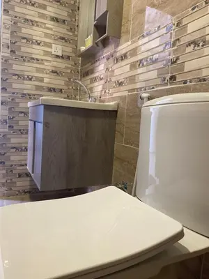 a bathroom with a toilet and a sink at Wadi Rum Sarab Camp in Disah
