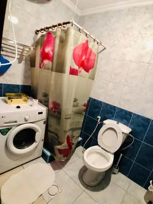 a bathroom with a toilet and a washing machine at Super modern comfortable apartment at the heart of historic Amman in Amman