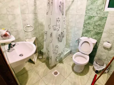 a bathroom with a toilet and a sink and a shower curtain at Super modern comfortable apartment at the heart of historic Amman in Amman