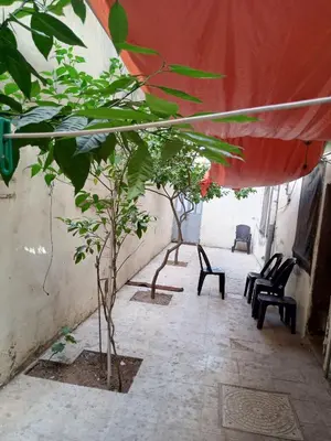 a corridor with chairs and trees in a building at شقة الياسمين العائلية الفاخرة in Amman