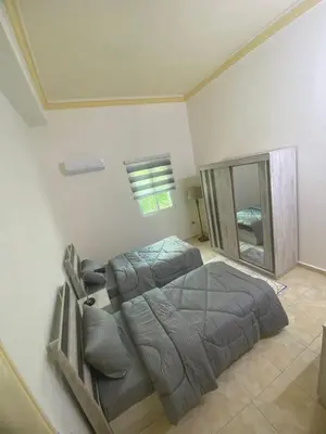 a bedroom with a bed and a mirror at The heart of Jabal alweibdeh 2,000 SF entire apartment in Amman