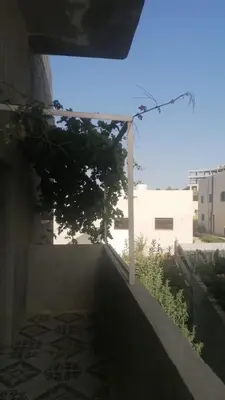 Gallery image of الاردن عجلون رأس منيف in ‘Ibbīn