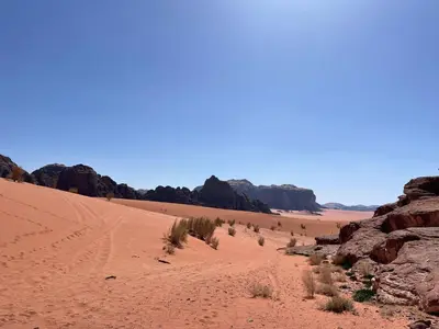 a desert with red sand and rocks and bushes at Um sabatah camp in Wadi Rum