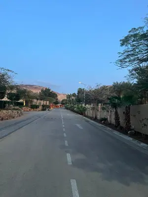 an empty road with palm trees on the side at The F52 Luxury Residence Samarah Resort in Sowayma