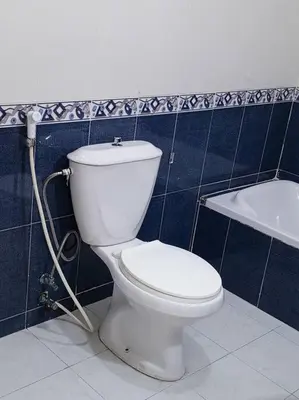 a bathroom with a white toilet and a bath tub at Kamalia Studio in Şāfūţ