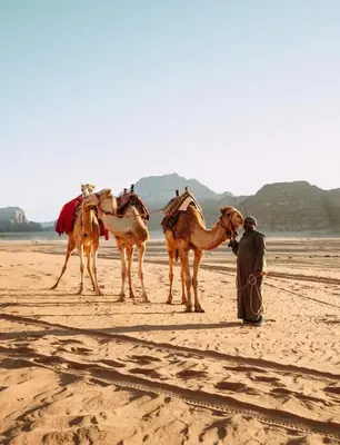 a man standing next to three camels on a beach at RUM YANAL lUXURY CAMP in Wadi Rum