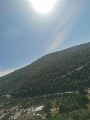 an aerial view of a hill with trees at روابي عجلون منزل in Ajloun