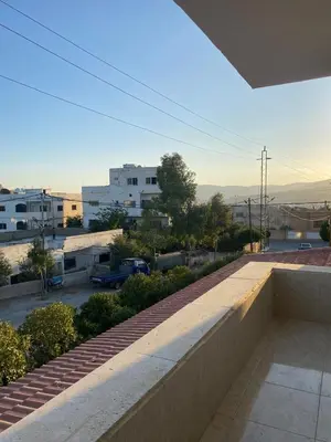 Gallery image of Anas in Jerash