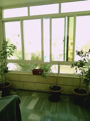 a room with a window with potted plants at zin home in ‘Awjān ash Sharqī