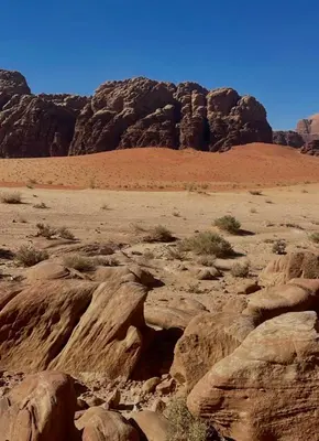a desert with rocks and mountains in the background at Wadi rum magical in Wadi Rum
